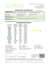 214398881.webp